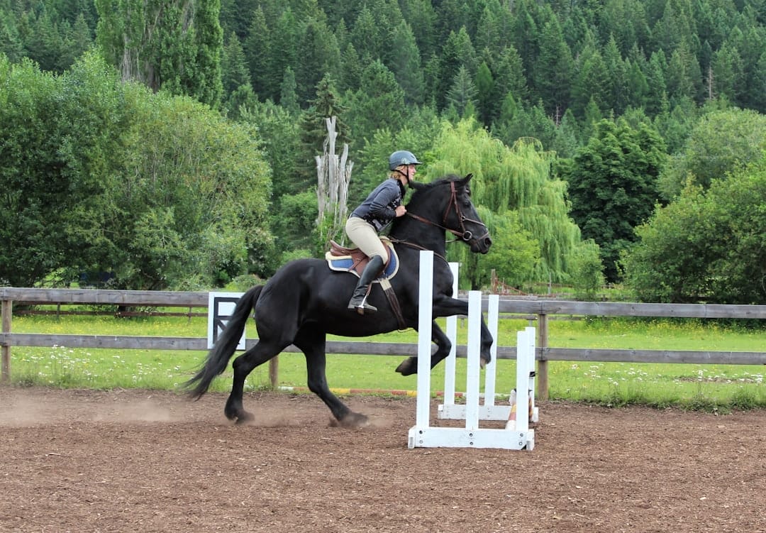 Photo Horse jumping