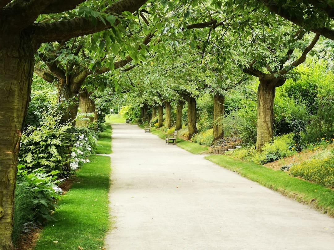 Photo Outdoor garden