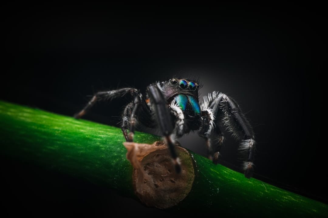 Makna Ular Hitam Kecil Masuk Rumah