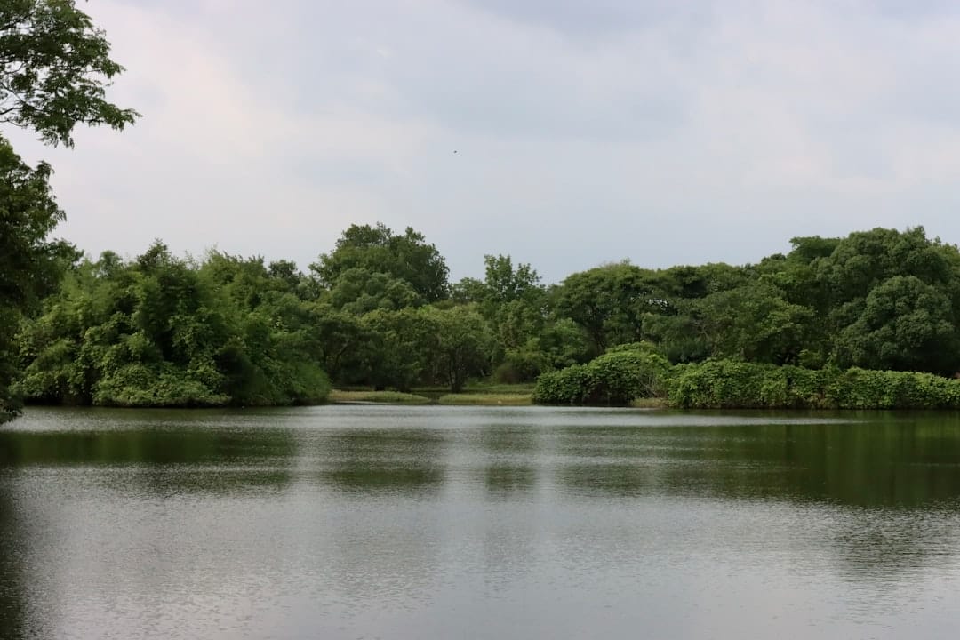 Photo mahagoni park bintaro jaya