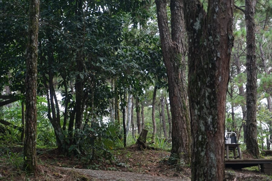 Photo mahagoni park bintaro jaya