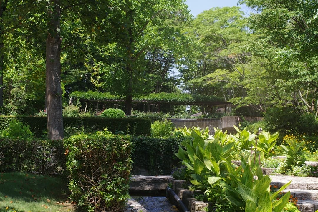 Keindahan Hunian di Grand Bintaro Garden Residence