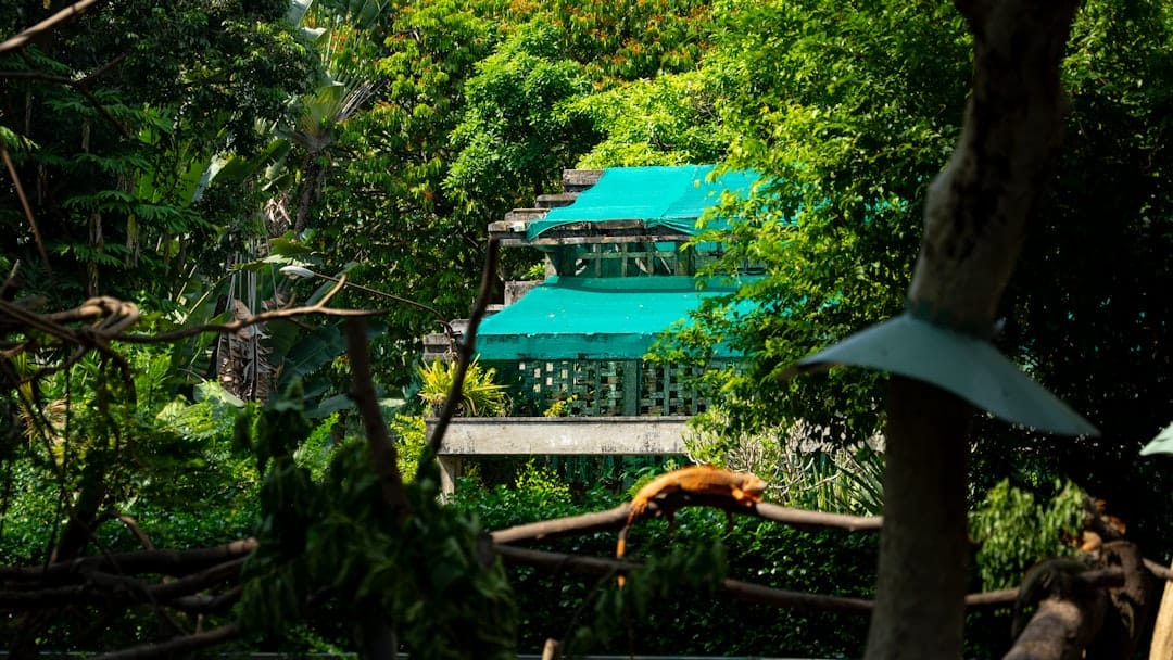 Photo emerald residence bintaro