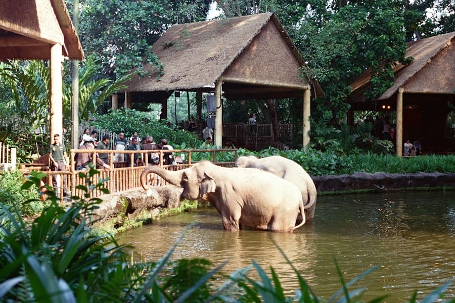 pondok safari indah