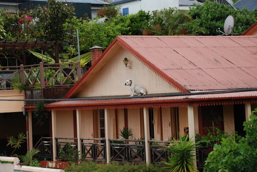 Photo property agent commission