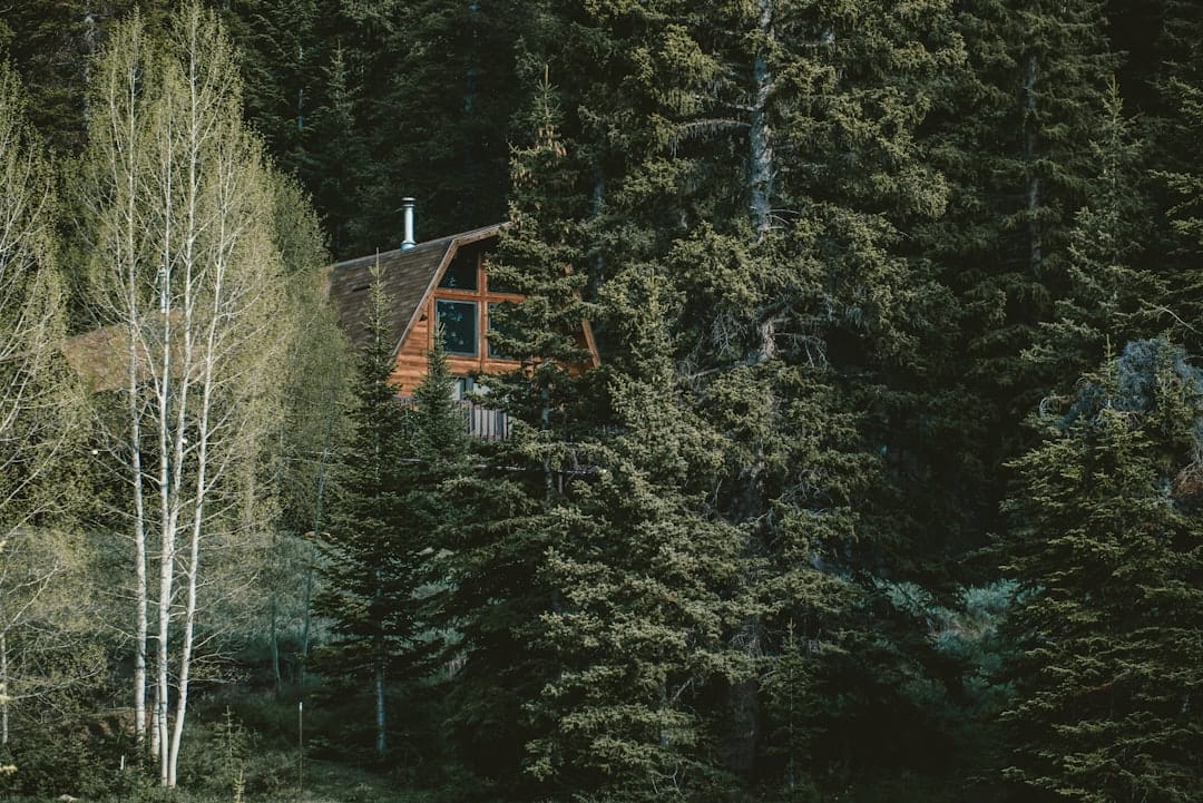 Photo aspen residence